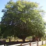Vosges D'hotes Отель типа 