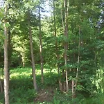 Vosges D'hotes Bed & Breakfast
