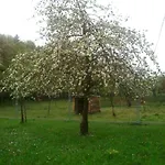 Vosges D'hotes Bed & Breakfast Jeanmenil