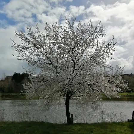 Vosges D'hotes Jeanmenil