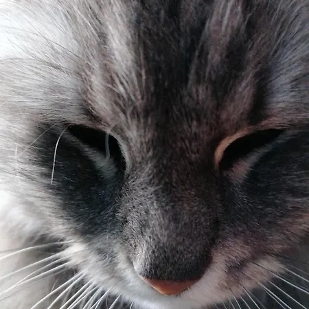 Bed and breakfast Vosges D'hotes