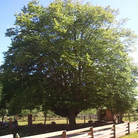 Vosges D'hotes Bed and breakfast 3*