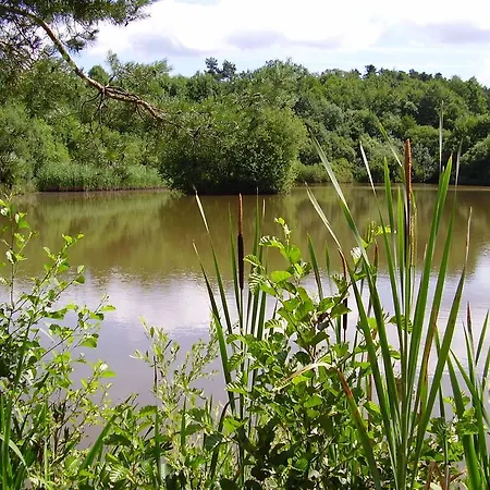 Vosges D'hotes 3* Jeanmenil