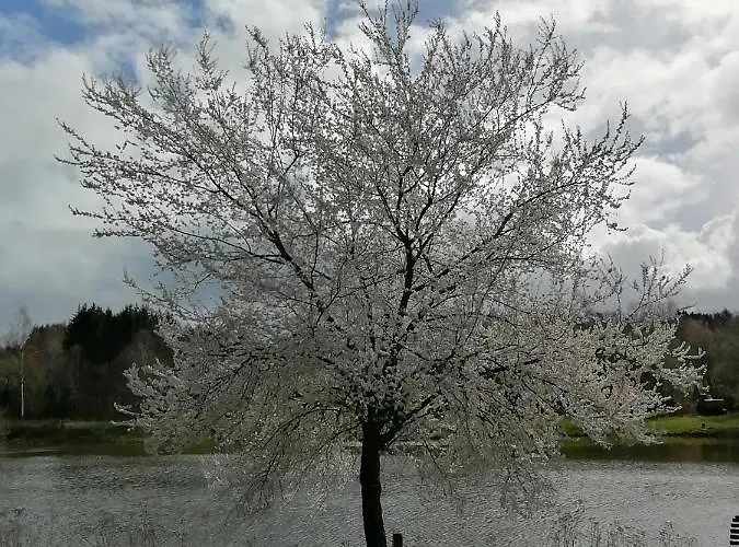 Vosges D'hotes Jeanmenil