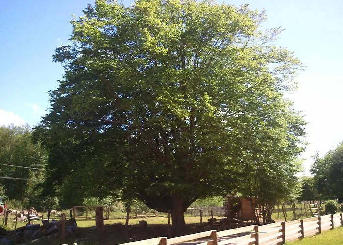 Vosges D'hotes Couette-café 3*