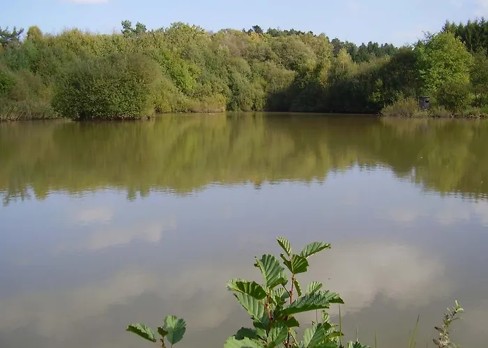 Couette-café Vosges D'hotes