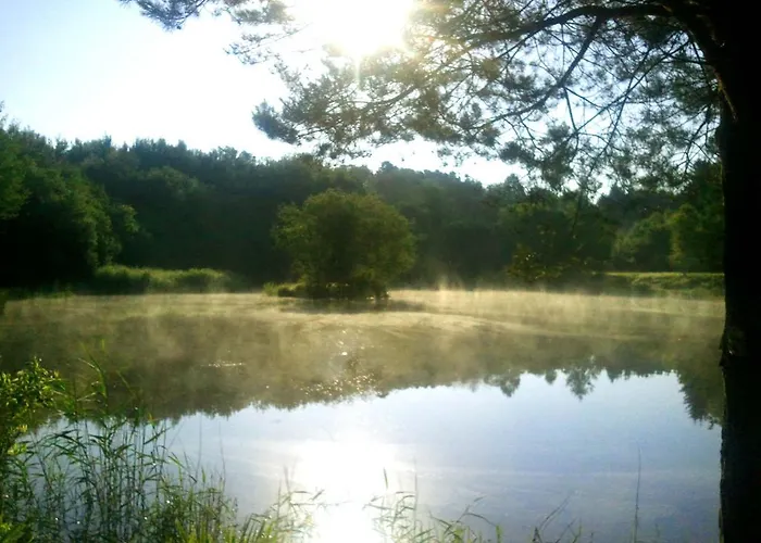 Couette-café Vosges D'hotes