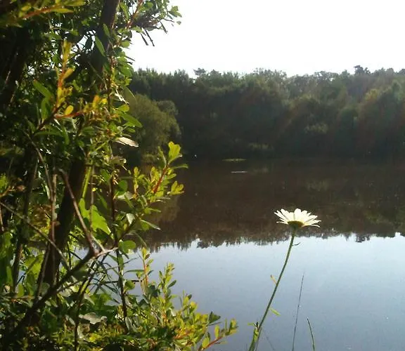 Vosges D'hotes Couette-café Jeanmenil