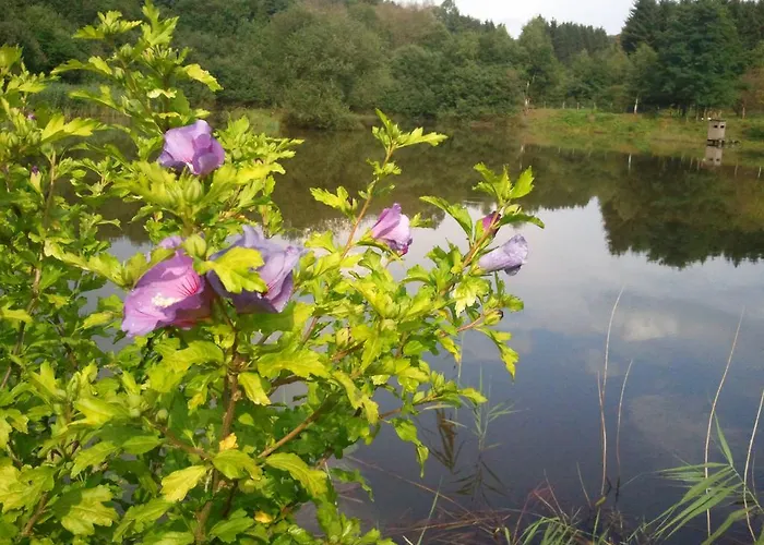 Couette-café Vosges D'hotes Jeanmenil