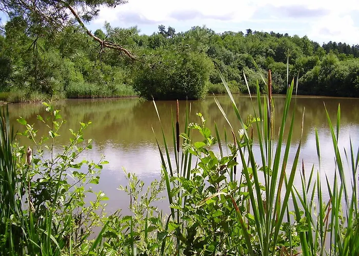 Vosges D'hotes 3* Jeanmenil