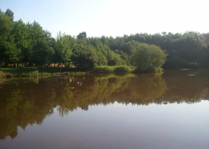 Vosges D'hotes Couette-café Jeanmenil