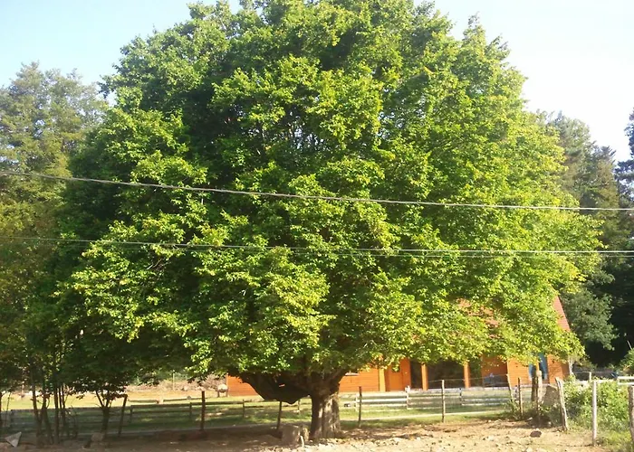 Couette-café Vosges D'hotes 3*