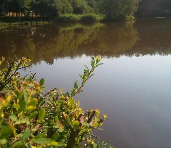 Vosges D'hotes Jeanmenil