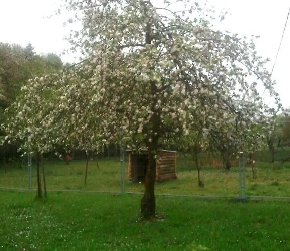Vosges D'hotes Couette-café Jeanmenil